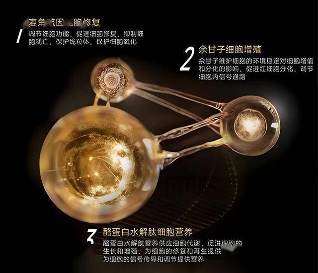 国内蜂电保养套品牌 为超元宇宙而来【两性&情感】风尚中国网