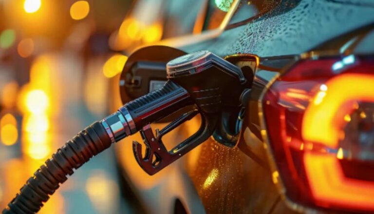 郑州大风刮倒树砸坏三辆车 市民:给公共设施买保险